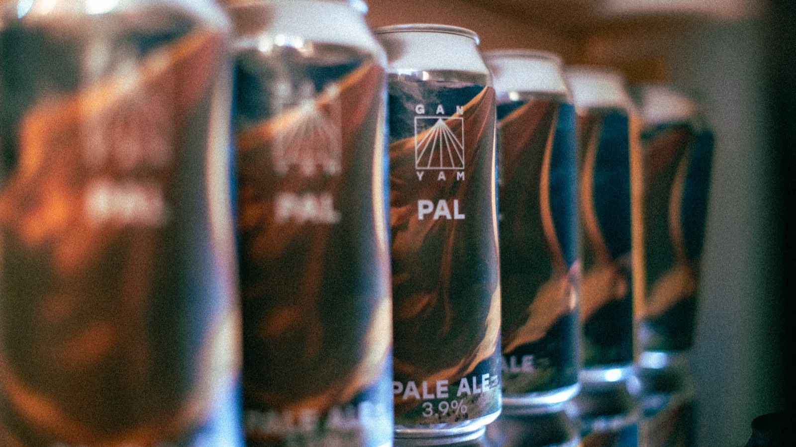 Cans of pale ale on the shelf